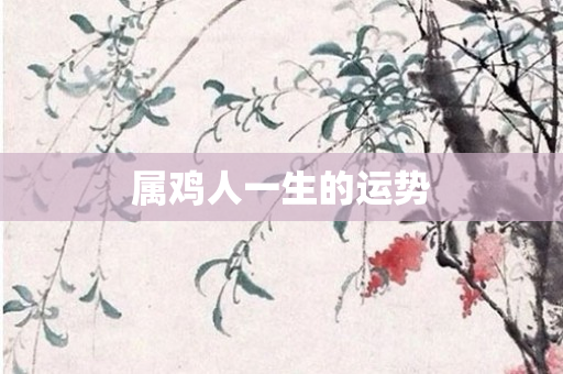 属鸡人一生的运势