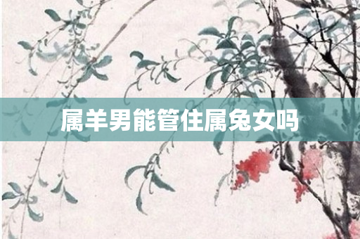 属羊男能管住属兔女吗