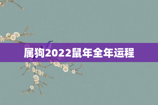 属狗2022鼠年全年运程