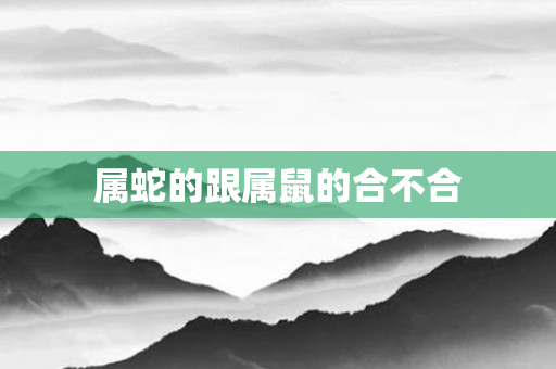 属蛇的跟属鼠的合不合