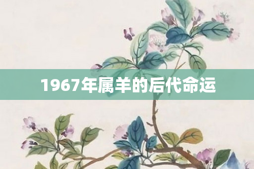 1967年属羊的后代命运