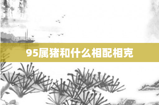 95属猪和什么相配相克