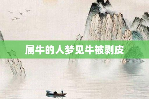 属牛的人梦见牛被剥皮