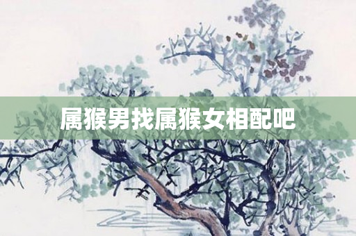 属猴男找属猴女相配吧