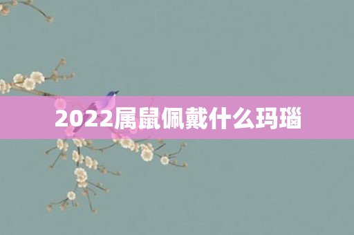 2022属鼠佩戴什么玛瑙