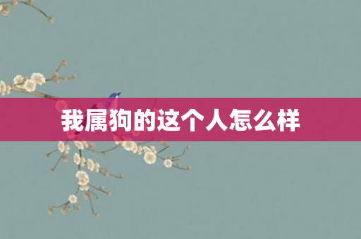 我属狗的这个人怎么样