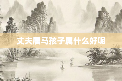 丈夫属马孩子属什么好呢