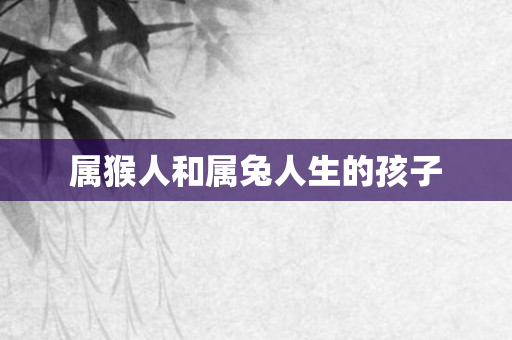 属猴人和属兔人生的孩子