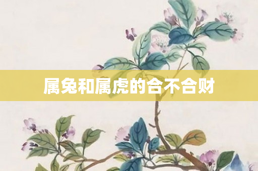 属兔和属虎的合不合财