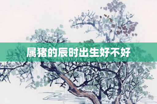 属猪的辰时出生好不好