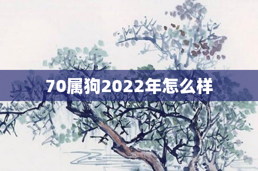 70属狗2022年怎么样