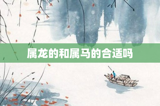 属龙的和属马的合适吗
