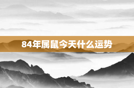 84年属鼠今天什么运势