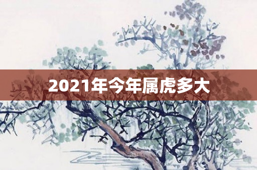 2021年今年属虎多大