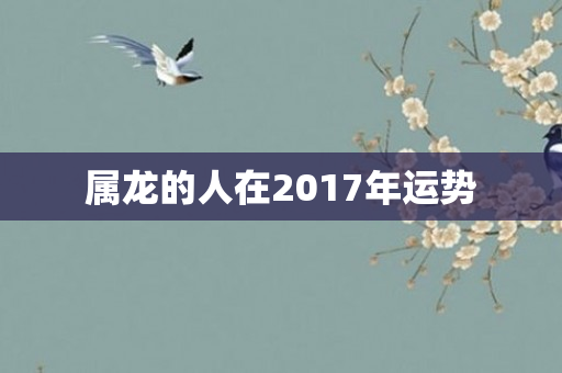 属龙的人在2017年运势