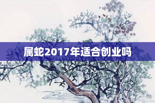 属蛇2017年适合创业吗