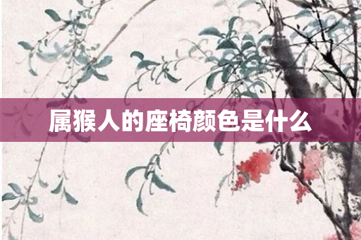 属猴人的座椅颜色是什么