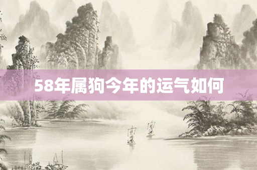 58年属狗今年的运气如何