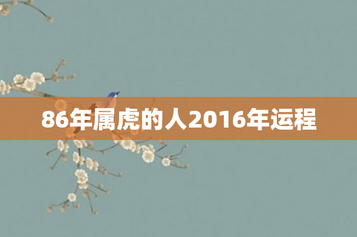 86年属虎的人2016年运程