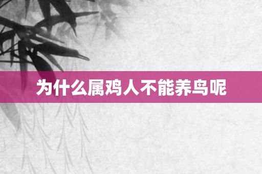 为什么属鸡人不能养鸟呢