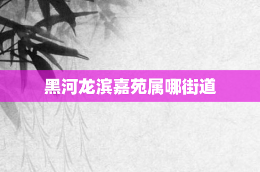 黑河龙滨嘉苑属哪街道