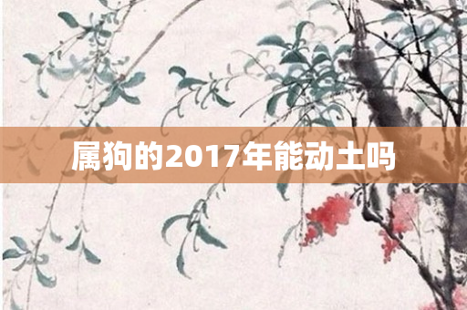 属狗的2017年能动土吗