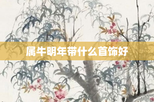 属牛明年带什么首饰好