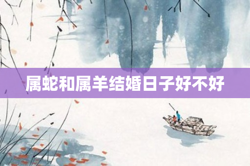 属蛇和属羊结婚日子好不好