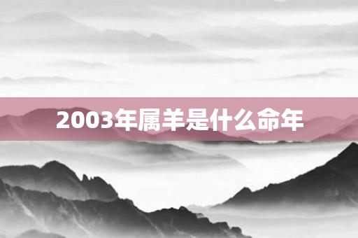 2003年属羊是什么命年