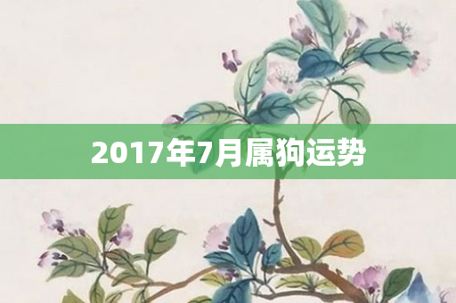 2017年7月属狗运势