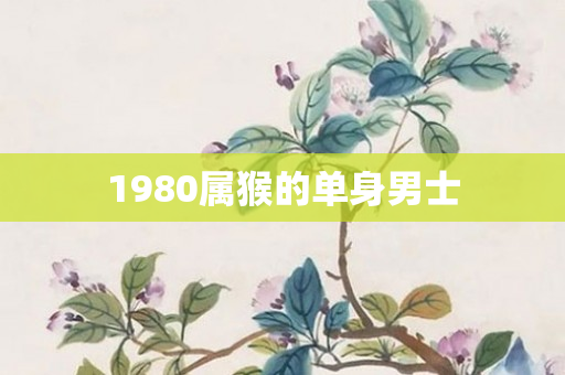 1980属猴的单身男士