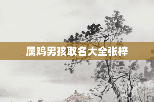 属鸡男孩取名大全张梓
