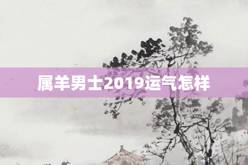 属羊男士2019运气怎样