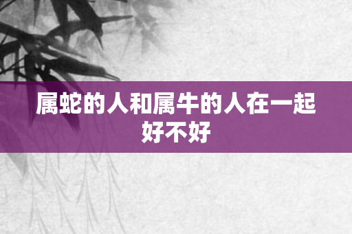 属蛇的人和属牛的人在一起好不好