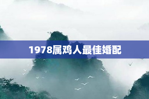 1978属鸡人更佳婚配