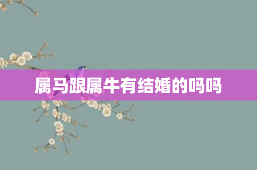 属马跟属牛有结婚的吗吗