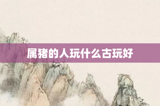 属猪的人玩什么古玩好