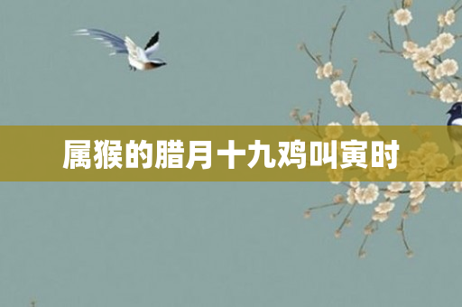属猴的腊月十九鸡叫寅时