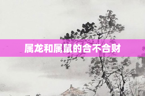 属龙和属鼠的合不合财