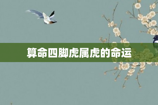 算命四脚虎属虎的命运