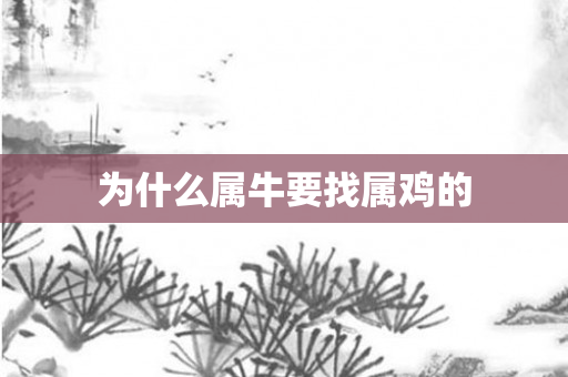 为什么属牛要找属鸡的