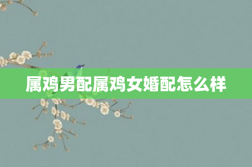 属鸡男配属鸡女婚配怎么样