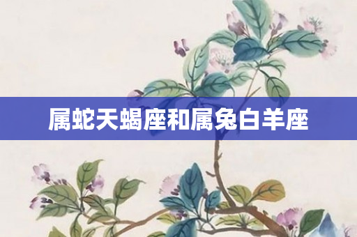属蛇天蝎座和属兔白羊座