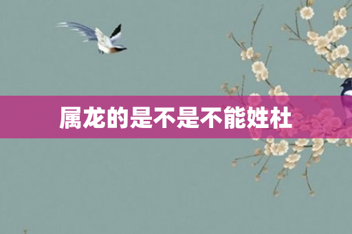 属龙的是不是不能姓杜