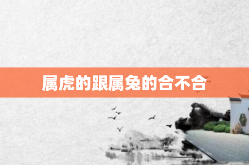 属虎的跟属兔的合不合