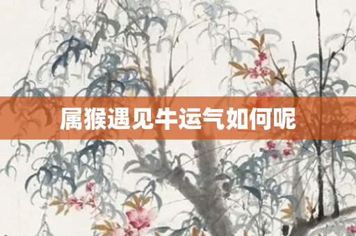属猴遇见牛运气如何呢