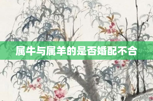 属牛与属羊的是否婚配不合