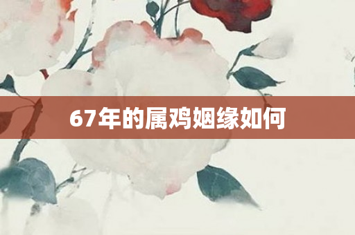 67年的属鸡姻缘如何