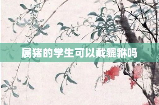 属猪的学生可以戴貔貅吗