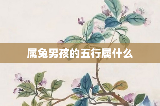属兔男孩的五行属什么